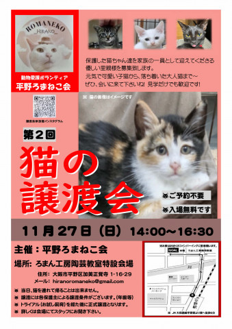 第２回平野ろまねこ譲渡会