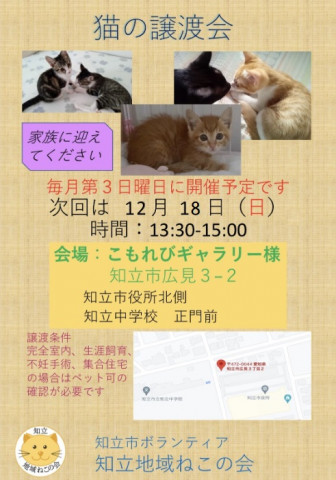 知立地域ねこの会　猫の譲渡会