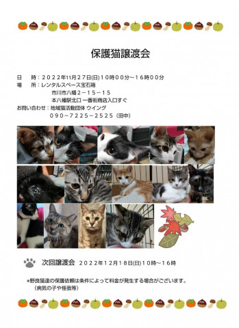 本八幡駅北口　市川市地域猫活動団体ウイング譲渡会