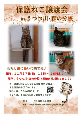 保護ねこ譲渡会 inうつつ川･森の分校