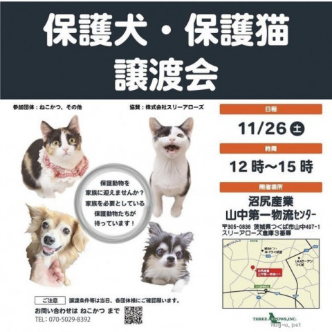 スリアロ 保護犬・保護猫の譲渡会