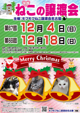 猫の譲渡会　in　名古屋市千種生涯学習センター