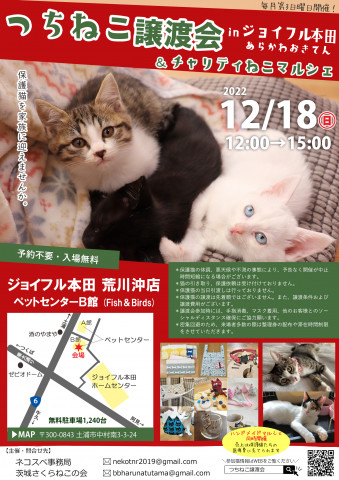 つちねこ譲渡会