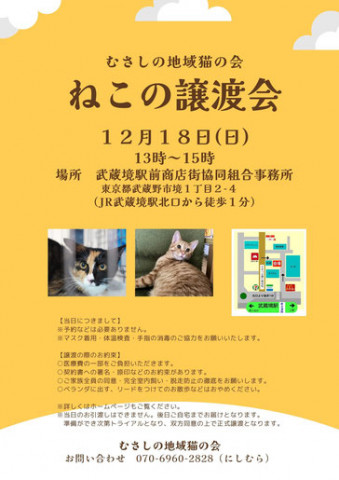 むさしの地域猫の会　譲渡会