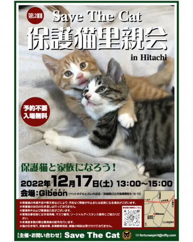 Save The Cat 保護猫里親会 in Hitachi