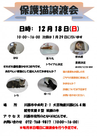 保護猫譲渡会