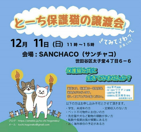 とーち保護猫の譲渡会