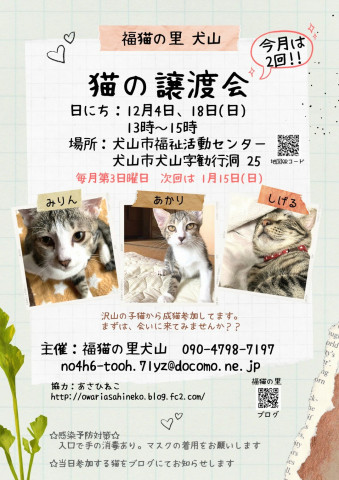 猫の譲渡会@犬山市福祉活動センター