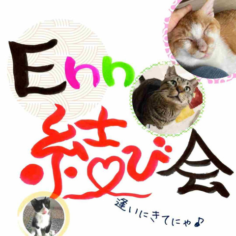 Enn結び会