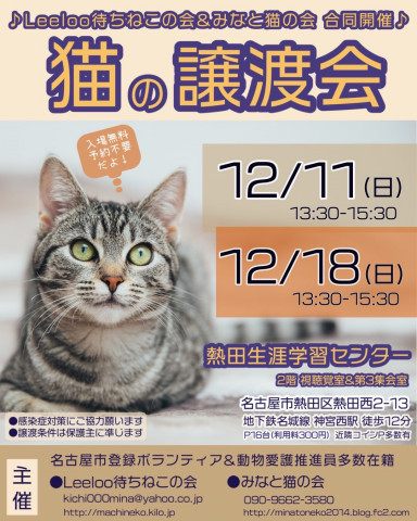 待ちねこ譲渡会　みなと猫さんと合同開催！