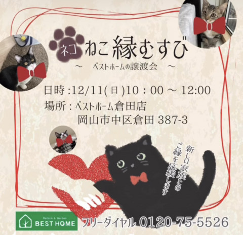 ねこ縁結び　〜ベストホームの譲渡会〜