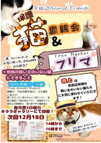 保護猫の里親会 in 京田辺