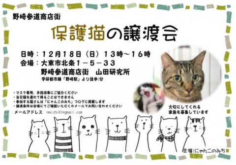 【野崎参道商店街】第32回保護猫の譲渡会