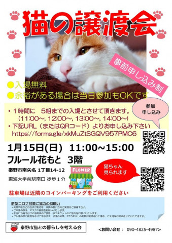 猫の譲渡会＠秦野市