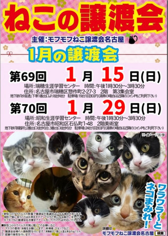 猫の譲渡会　in　名古屋市瑞穂生涯学習センター