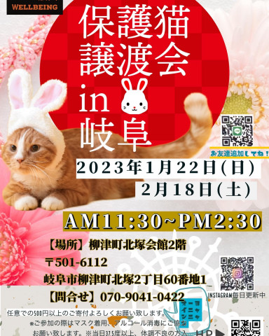 保護猫譲渡会in岐阜