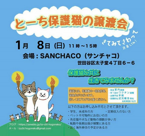 とーち保護猫の譲渡会