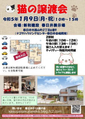 保護猫譲渡会in春日井！