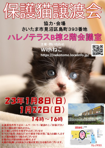【さいたま市】１/８（日）ハレノテラス保護猫譲渡会