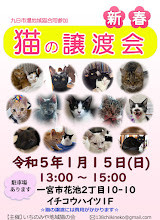 一宮市　保護猫の譲渡会