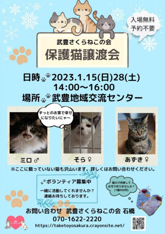 武豊さくらねこの会譲渡会