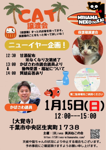 ねこの譲渡会