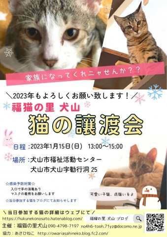 猫の譲渡会 @犬山市福祉活動センター