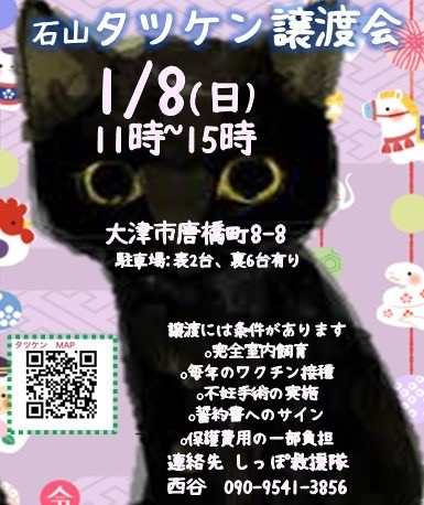 しっぽ救援隊　保護猫譲渡会