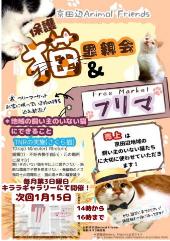 保護猫の里親会 in 京田辺