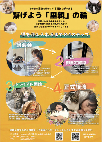 保護猫譲渡会〜富士市〜