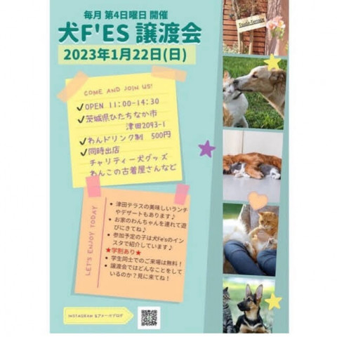 犬Fes 保護犬猫の譲渡会