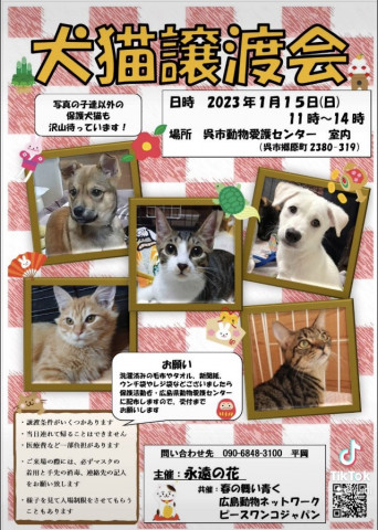 犬猫譲渡会