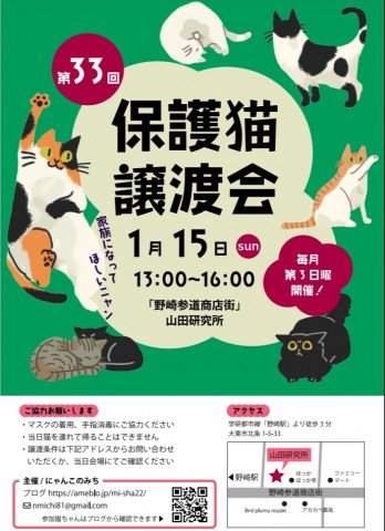 【野崎参道商店街】第33回保護猫の譲渡会