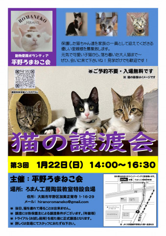 第３回平野ろまねこ譲渡会