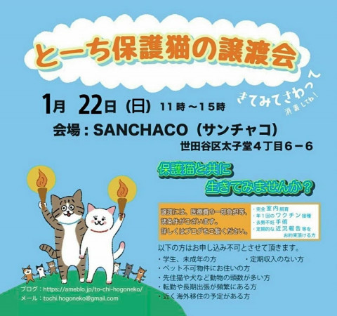 とーち保護猫の譲渡会