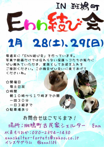 Enn結び会