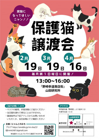 【野崎参道商店街】第34回保護猫の譲渡会