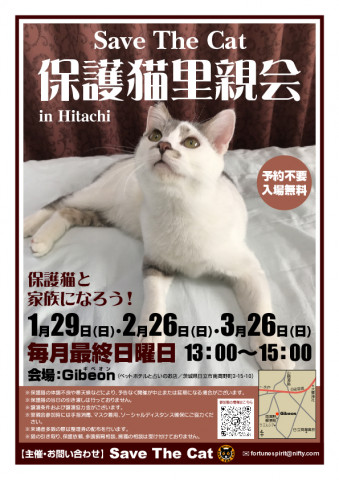 Save The Cat 保護猫里親会 in Hitachi