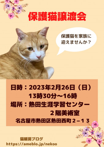 保護猫譲渡会