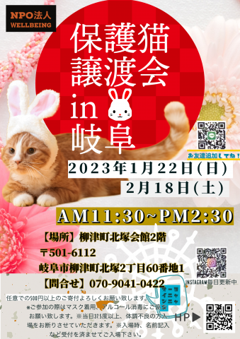 保護猫譲渡会in岐阜