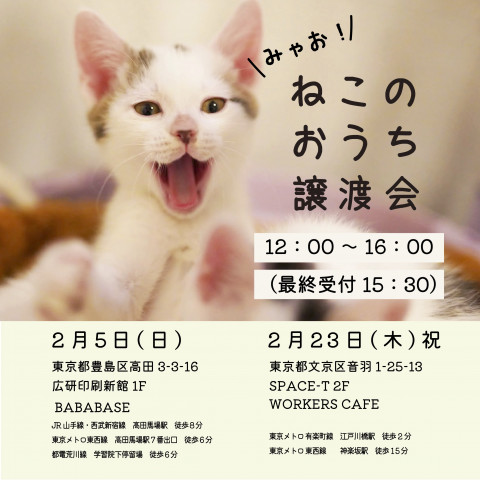 ミャオねこ譲渡会◆高田馬場