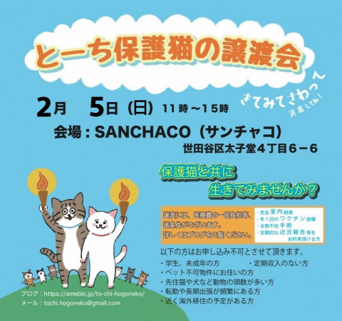 とーち保護猫の譲渡会