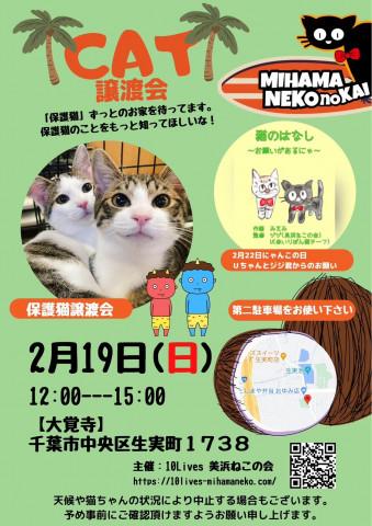 ねこの譲渡会