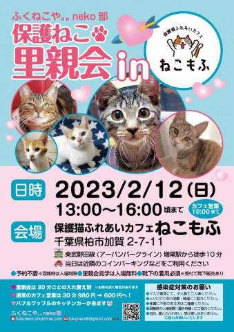 柏開催！保護ねこ里親会