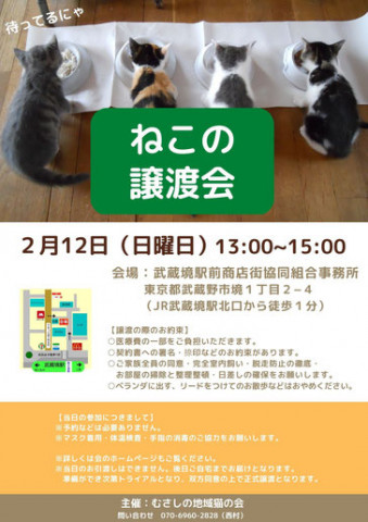 むさしの地域猫の会　譲渡会