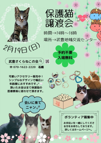 武豊さくらねこの会譲渡会