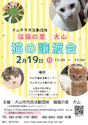 猫の譲渡会 @犬山市福祉活動センター