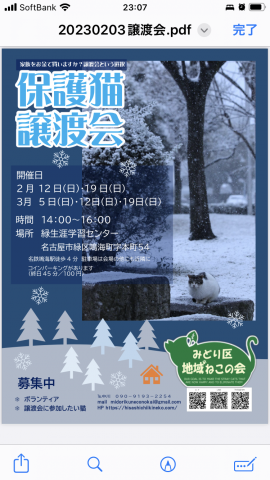 名古屋市緑区猫の譲渡会