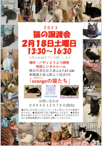 「orangeの猫たち」の譲渡会in横浜
