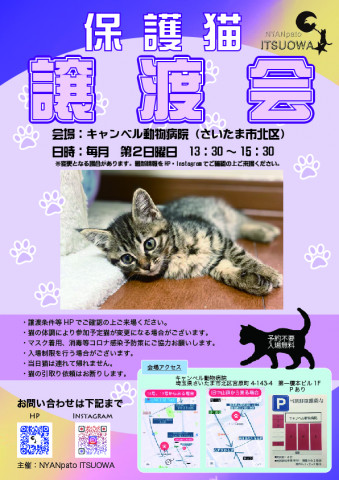 【さいたま市北区】2/12(日)キャンベル動物病院保護猫譲渡会